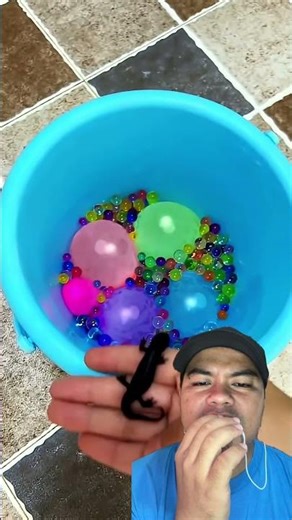 Looking for a lizard fish house ⁉️#shorts #fyp