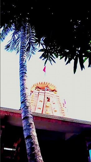 𝗝𝗔𝗬 𝗝𝗔𝗚𝗔𝗡𝗡𝗔𝗧𝗛 !! 𝗢𝗗𝗜𝗬𝗔 !! #sot #video #jagannath #temple #sot #video #song #song #sot #video #song 🙏