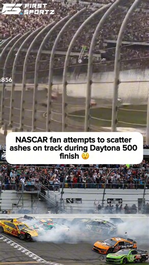 Pure Stupidity: NASCAR fan attempts to scatter ashes on track amid wild Daytona 500 finish 😡 #nascar | FirstSportz Nascar