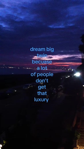 Tree Root Killer Solutions for Homeowners