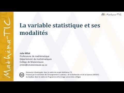 The statistical variable and its categories