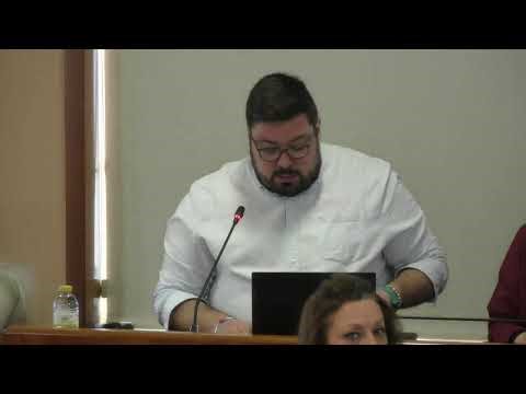 Pleno da corporación municipal do Concello de Vigo