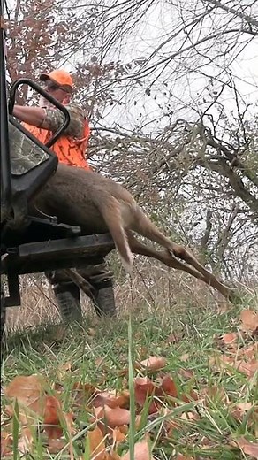 Loading a 250 lb Indiana buck with the SB Wood and weld bed winch!