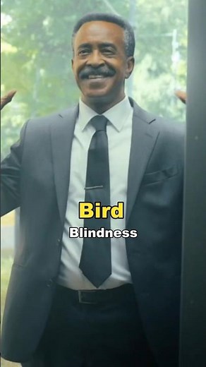 Tim Meadows Explains His Character’s Weird Weakness: Bird Blindness in Peacemaker Season 2 🦅😂