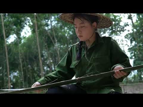 Building a Garden Fence to Grow Vegetables for the Coming Winter | Mountain Girl Life