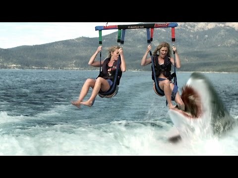 'Shark Lake' Trailer