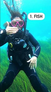 FISH | ASL Glossary | The ASL Shop