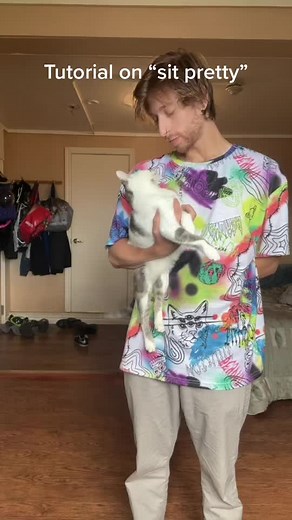 How to Teach Your Cat to Sit Pretty with High-Value Treats