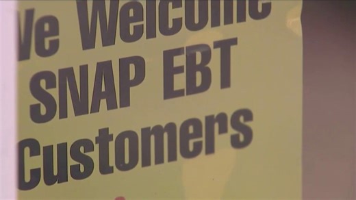 State launches public assistance fraud task force