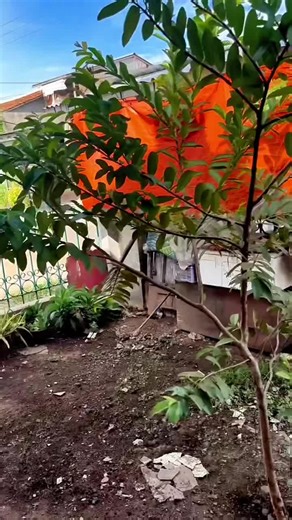 Video Lucu Ngakak Parah - Kocak dan Menghibur!