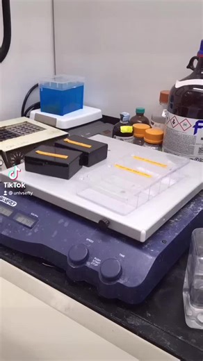 Introductions in the Science Lab