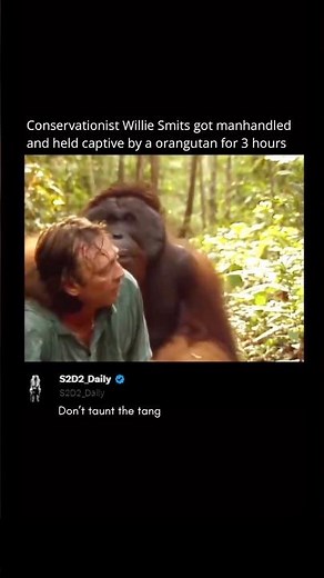 He Got Held Captive by an Orangutan… and It Actually Happened