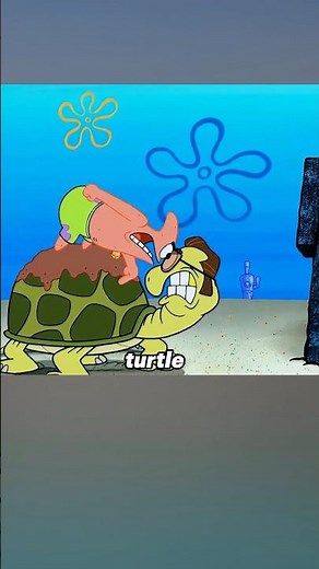 Patrick Star and Mr. Turtle are competing for the turtle shell.#spongebob #anime