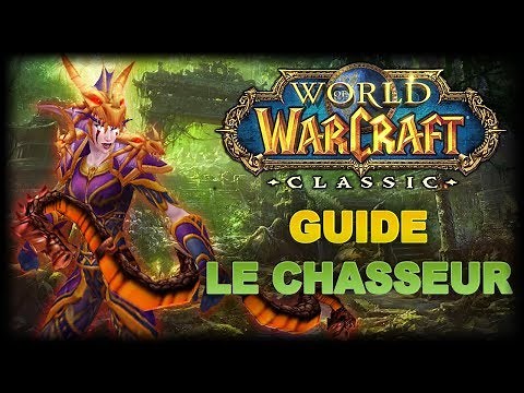 WoW Classic: Hunter's Guide - Leveling, PvE, PvP, Professions