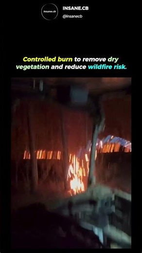 Fighting Fire with Fire: The Power of Controlled Burns