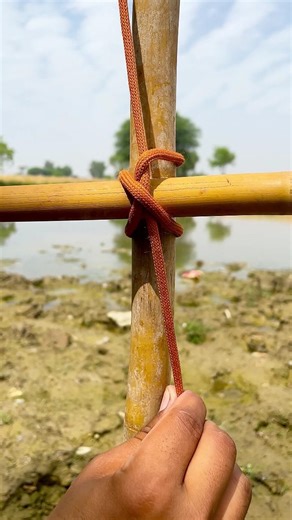 Tie a knot to connect two sticks together! #shorts #youtubeshorts