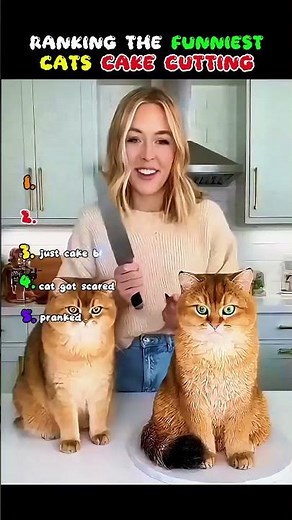 Cats vs. Cake: HILARIOUS Cake-Cutting FAILS! 😂🍰#Hilarious