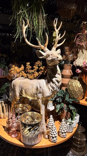 De Pronkkamer Twello on Instagram: "✨ Goedemorgen ✨ Wij staan vandaag met volle bezetting voor jullie klaar om ons kerstpaleis nóg voller te bouwen met de mooiste kerstboeketten en kerstcadeautjes 🎄🤩 Morgen extra geopend 😍🥳 🕰️ Onze openingstijden: Zaterdag: 9.00 – 16.30 Zondag: 12.00 – 16.00 Maandag: 8.30 – 17.30 Dinsdag: 8.30 – 17.30 Woensdag: 8.30 – 16.00 ✨ Tot snel! Liefs, het Pronkteam xxx 💚"