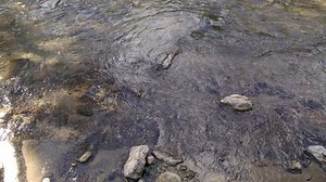 Free Bullet Videos: 4K & HD | No Watermark | Download Now