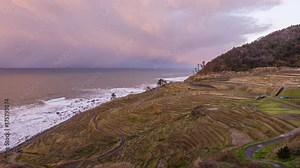 Japanese Rice Terraces