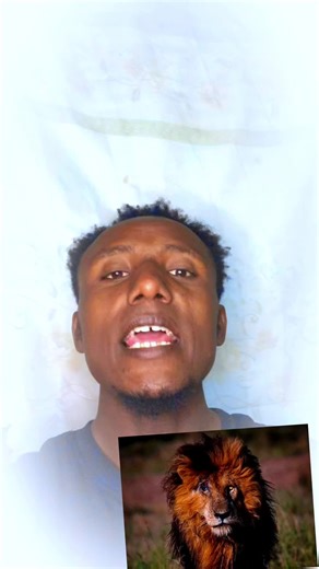 Scarface the Lion Documentary: A Life Unveiled