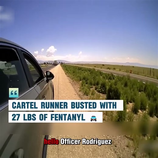 Suspect Arrested in a Large Scale Fentanyl Trafficking Case 🚔⚠️ This case highlights how major drug distribution operations are detected and why fentanyl trafficking poses a severe threat to public health and community safety. Watch to learn how authorities intercept dangerous substances and protect communities from harm 👀 #PublicSafety #DrugAwareness #LawEnforcement #CommunitySafety | Police Body Cam