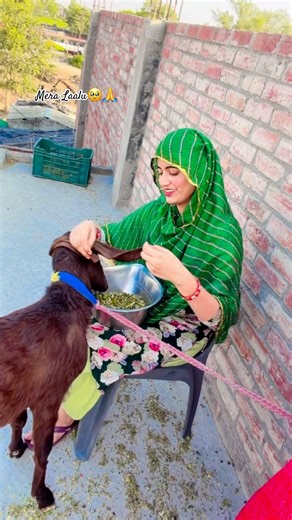 Naazo se tujhe paala maine kaliyon ki tarah phoolon ki tarah 💫🥹🙏✨ #simrang_official #qurbani #1k