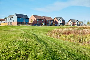 Building Sustainability ‧ Taylor Wimpey