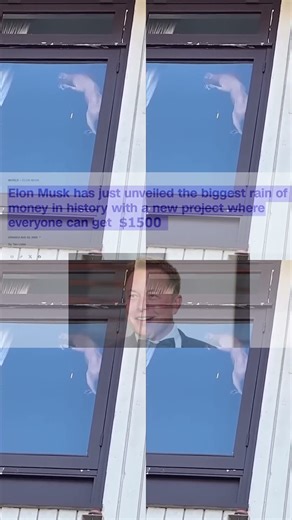 5 Hour of The Best Cat & Dog Videos 😂 Funny Videos Compilation PART 5 15006s