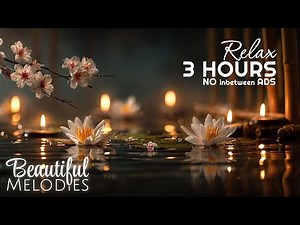 Meditation Music, Calm Music, Meditation Music No ads, Stress relief Music