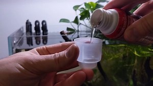 Cycle Biological Enhancer contains a powerful team of beneficial nitrifying bacteria to create healthy living conditions in new aquariums! Once your aquarium is established, regular dosing of Cycle is still recommended, to ensure the most desirable strains of nitrifying bacteria are present and not replaced by other less-efficient species. LEARN MORE: https://fluvalaquatics.com/us/water-care/ | Fluval