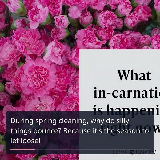 Grow Your Laughs with These 60+ Hilarious Spring Puns