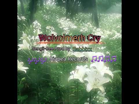 WOLVOLMERH CRY Sengii-Bee .prod by Sabixx PNG official Music 🎶