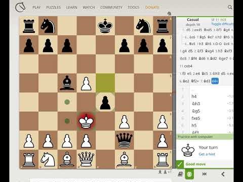 Perfect Opening Plan for Beginners with 1.e4