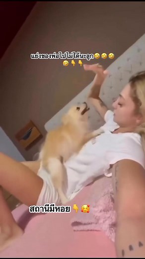 oh no super agile😅 #comedy #funny #Reels | Tari Vlog