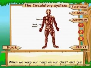 Learn Science | Class 3 | The Human Body