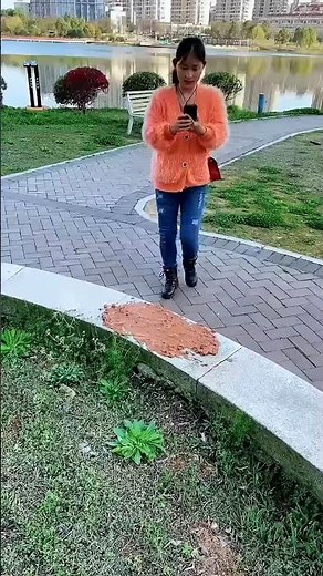 Alibaba Gadgets!😍🍓😶‍🌫️😐🎈🍕🙃ool Items, New Gadgets, Smart Kitchen Aplentions#shorts