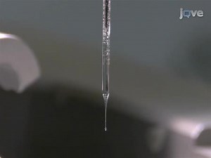 Selective Viral Transduction of Adult-born Olfactory Neurons for Chronic in vivo Optogenetic Stimulation