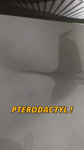 Pterodactyl just flew past me! 😱 | Tempus Triad Demo
