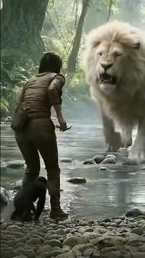White Lion Attack: Jungle Standoff On Jane #lion #tarzan #jane #lionattack