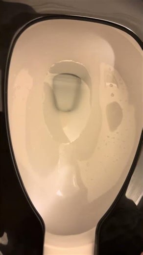 2026 American Standard Colony/ Mainstream One piece toilet