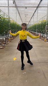 157K views · 1.4K reactions | Fresh moves and even fresher fruit and veggies! 勒凜 We’re proud to partner with the fruit and vegetable industry to inspire healthy eating. World Food Day announcement: you can meet The Wiggles and see them live in concert!!  ✨ Enter now at fruitandveggies.org for your chance to win! #fruitandveggiesyummyummy #thewiggles #internatioanlfreshproduceassociation #ifpa #worldfoodday | The Wiggles | Facebook