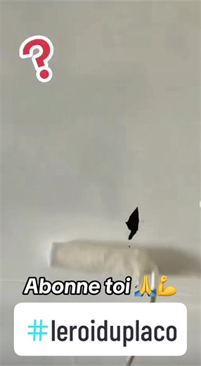 #leroiduplaco #plaquiste #electricien #humoriste #comedien #batiment #chantiers #btp #constructions #renovations #tendancetiktok #algorythm #pourtoi #foryou #fyp