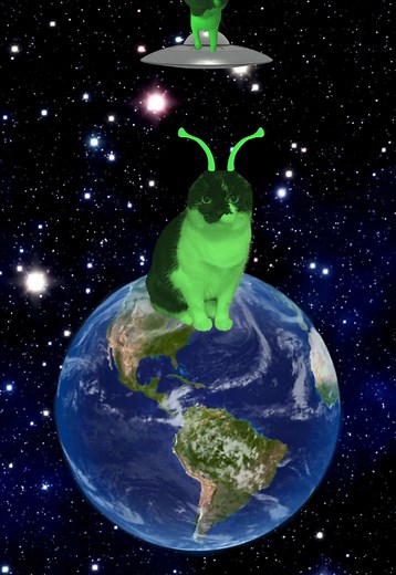 Transform into an Alien Cat with Fun Effects