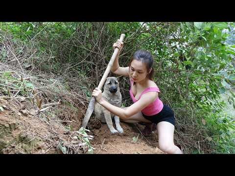 A long day in the woods trying to catch a weasel with a small dog.