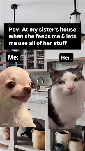 😂 Daily memes (dark & sarcastic) 🐶 EVIL DOG Official Meme Page 😈 Satire only — just jokes 👕 EVIL DOG merch: hoodies, tees & more ⬇️ Link in my bio | evildogofficial.com