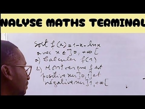 Positive and negative functions on an interval and monotonicity