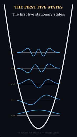 Solving Quantum Mechanics with a LADDER #physics #shorts