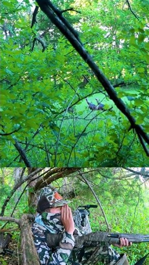 Jelly head thanks to Winchester!