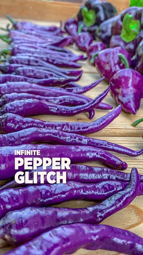 Infinite Pepper Glitch #fbreels #peppers #gardeningtips #gardening #learning | Plantedinthegarden
